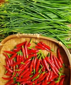 Thai Red Chili Pepper Seeds - Non-GMO Heirloom Piri Piri Hot Pepper Seeds - Full Sun - Indoor/Outdoor - Image 2