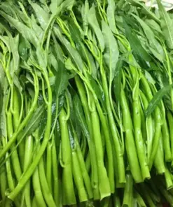 Thai Water Spinach Seeds - Ong Choy Kangkong Kong Xin Cai - 50+ Vegetable Seeds - Indoor & Outdoor - Image 1