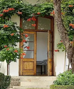 Trumpet Creeper Vine Seeds - Perennial Flowering Vine - 100+ Seeds - Outdoor - Image 3