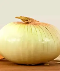 Vidalia Sweet Onion Seeds - 250 Non-GMO Heirloom Vegetable Seeds for Outdoor Planting - Image 1