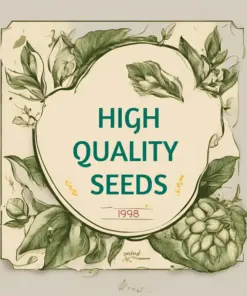 Vidalia Sweet Onion Seeds - 500 Count Non-GMO Heirloom Vegetable Seeds - Image 7