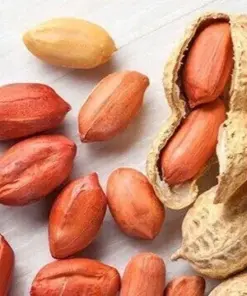 Virginia Jumbo Peanut Seeds - Heirloom, Non-GMO - 25 Seeds - Outdoor Vegetable - Image 1