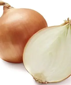 Walla Walla Onion Seeds - Heirloom Vegetable Seeds - 100+ Count - USA Grown - Image 1
