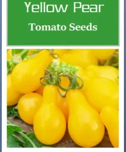 Yellow Pear Tomato Seeds - Heirloom, Non-GMO Vegetable Seeds - Easy Grow - Full Sun - Image 2