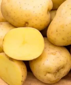 Yukon Gold Seed Potatoes - Certified for Planting - 226g (8oz) - Indoor/Outdoor - Very Easy Grow - Image 1